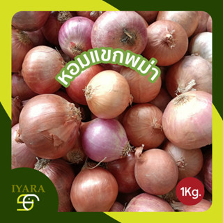 หอมแขกพม่า แขกพม่า หอมแขก