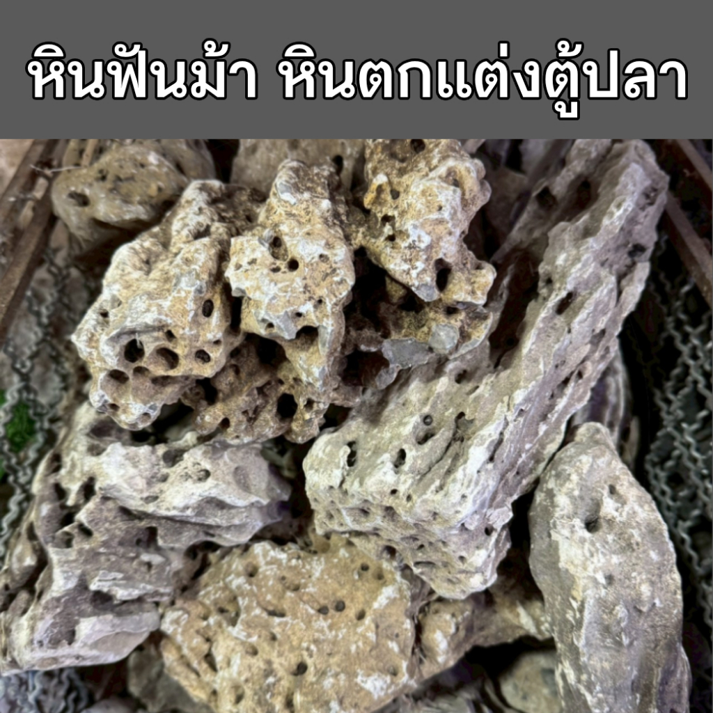 หินฟันม้า หินตกแต่งตู้ปลา บ่อปลา ไม่เป็นอันตรายต่อสัตว์น้ำ กิโลละ 50 บาท