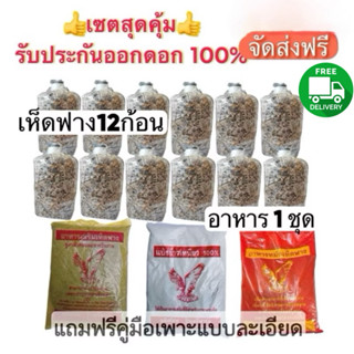 เห็ดฟาง เชื้อเห็ดฟาง 12 ก้อน พร้อม อาหารเสริม เหลือง+แดง+แป้…