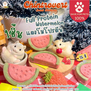 Chintrovert ✨| Watermelon proteinFD แตงโมโปรตีนชิ้นใหญ่ ฟรีส…