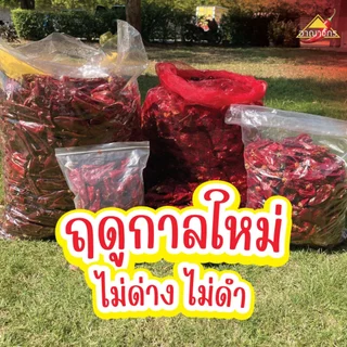 พริกแห้ง หยวก (ตัดก้าน) 9.5-10 กก. คัดเกรด เม็ดอวบ เม็ดใหญ่ ทำน้ำพริก ทำพริกแกง ทำพริกป่น อาหารอื่นๆ