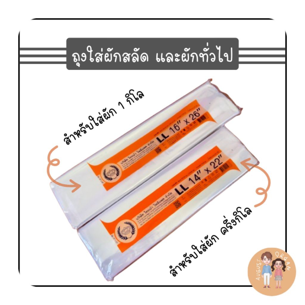 ถุงใส่ผักสลัดไฮโดรโปนิกส์ ผักอินทรีย์