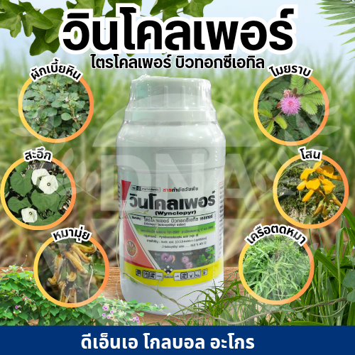 วินโคลเพอร์ ไตรโคลเพอร์ (ยาป้ายตอ+เครือเถาว์ที่ตายยาก)สารกำจัด และคุมวัชพืชยืนต้น ประเภทใบกว้าง