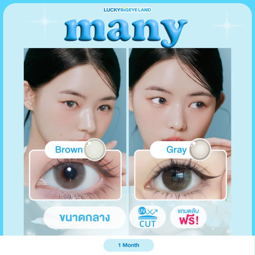 คอนแทคเลนส์ Many Brown / Gray (Lovely Lens) ขนาดกลาง 💙