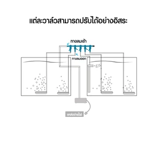 วาล์วกันย้อน check valve วาล์วกันน้ำย้อนกลับ แบบใส สีขาว
