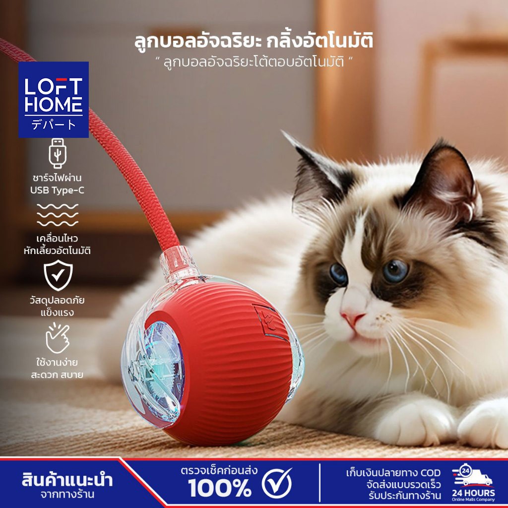ของเล่นสัตว์เลี้ยง ลูกบอลอัตโนมัติ แมว สุนัข ใช้งานง่าย เพียงกดปุ่มเปิด-ปิด เล่นได้อย่างต่อเนื่อง