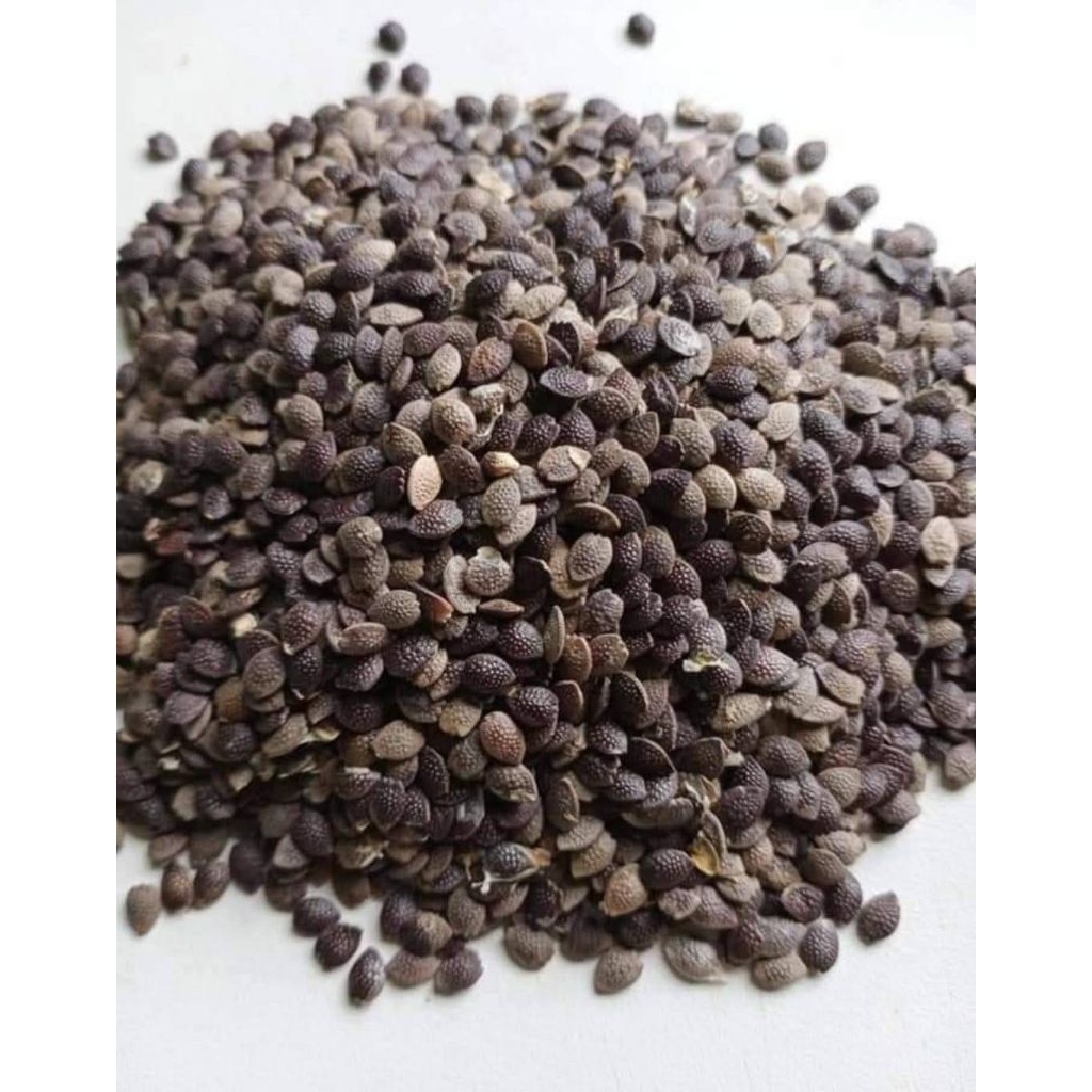 เมล็ด​พันธุ์​เสาวรสหวาน​ (พันธุ์​น้ำผึ้ง)​