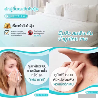 Perfecta ปลอกหมอน ป้องกันไรฝุ่น [เด็ก/ผู้ใหญ่] ปลอกหมอนข้าง ปลอกbody(รุ่นซิปรูดปิด)