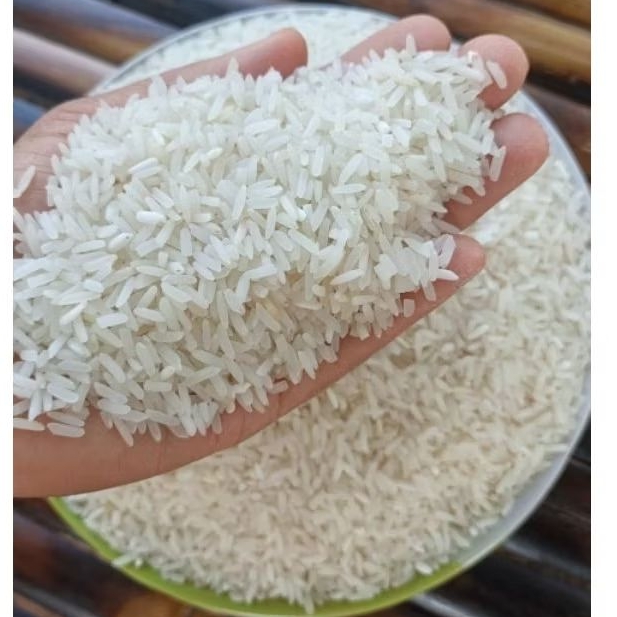 ข้าวหอมมะลิ ข้าวหอมมะลิใหม่ ข้าวหอมมะลิบุรีรัมย์ ข้าวหอมมะลิสุรินทร์ ข้าวหอมมะลิ105