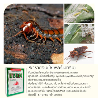 🥬 พาราดอน (ไซเปอร์เมทริน) บรรจุ 500กรัม ยาเบื่อปู กำจัดแมลง มด ปลวก แมลงคลาน กิ้งกือ ตะขาบ งู ปลาไหล สัตว์เลื้อยคลาน