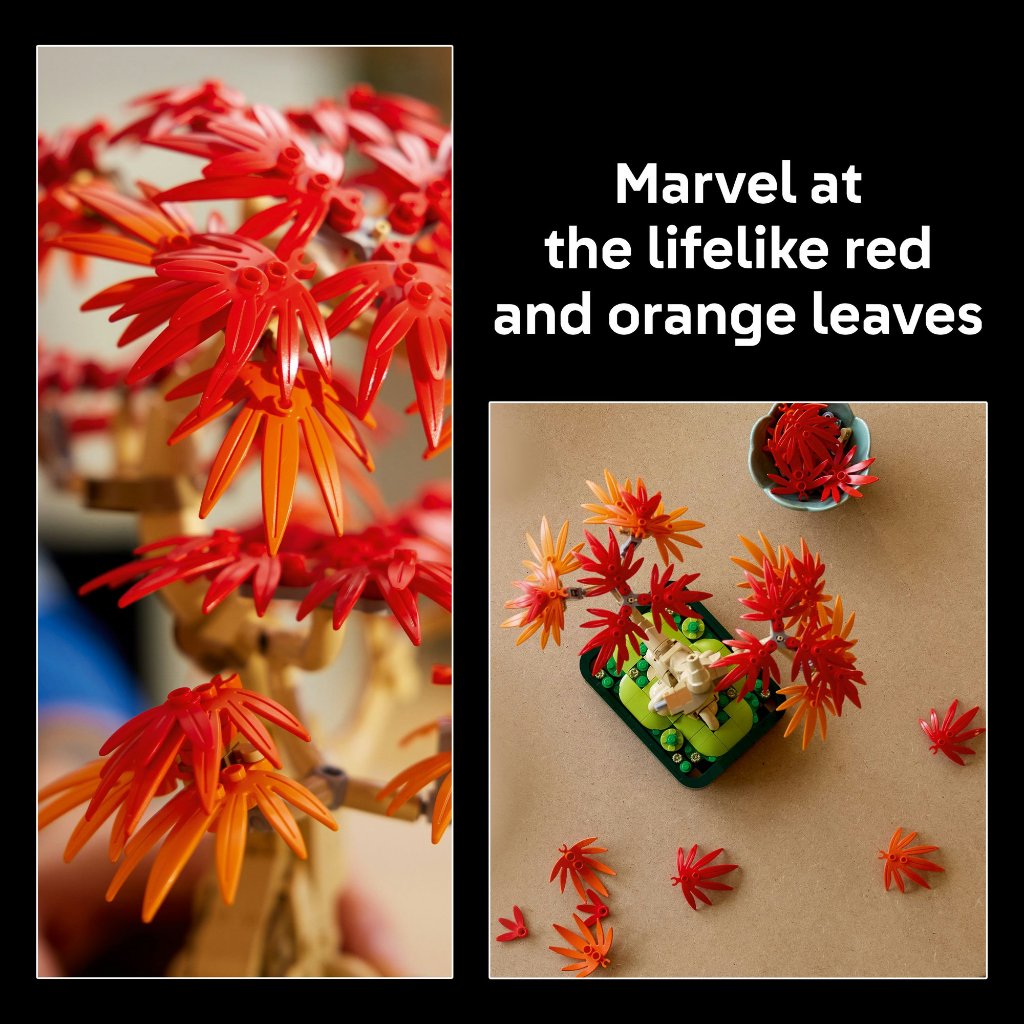 LEGO Botanicals ‏10348 بونساي القيقب الياباني الأحمر (474 قطعة) — صورة 5