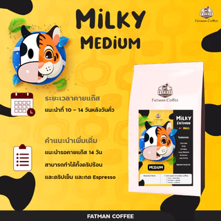 ราคาส่ง 1-3 Kg. เมล็ดกาแฟ "Milky Medium" กาแฟ mass ที่มีระดับ NEW LOT
