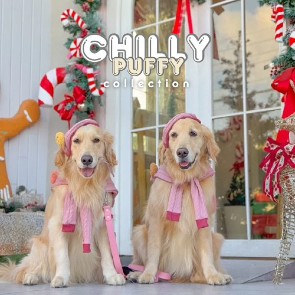 ผ้าพันคอสุนัขและแมว Chilly Puffy ผ้าทรงคาดิแกน ผ้าผูกคอทรงอังกฤษ ผ้าพันคอไหมพรม