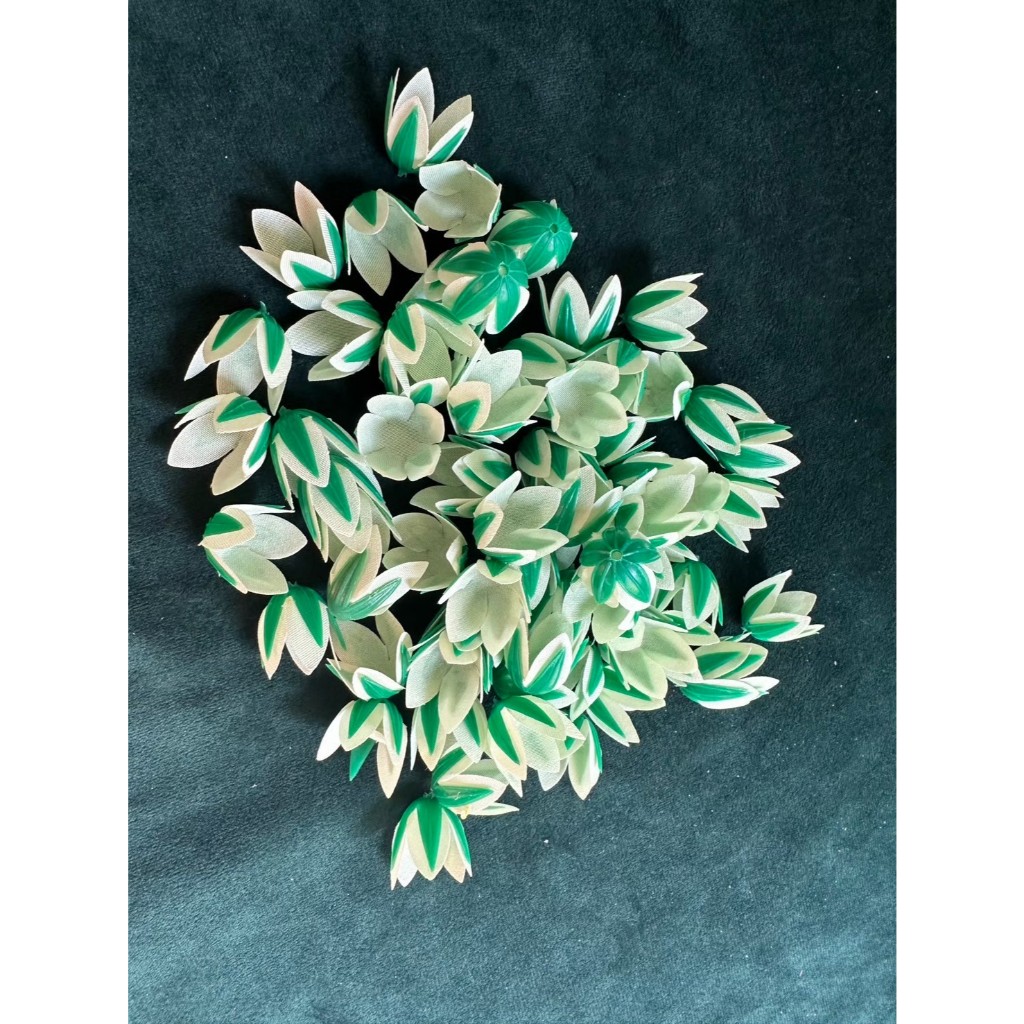 ขั้วชบาพร้อมกลีบเลี้ยง ขั้วชบาสำเร็จรูป (30/50/100 ชิ้น)