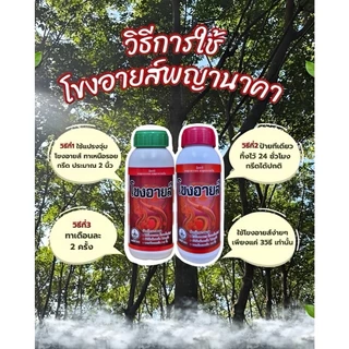 โขงอายส์ สูตร 1 ฝาเขียว ยาง 10-18ปี
