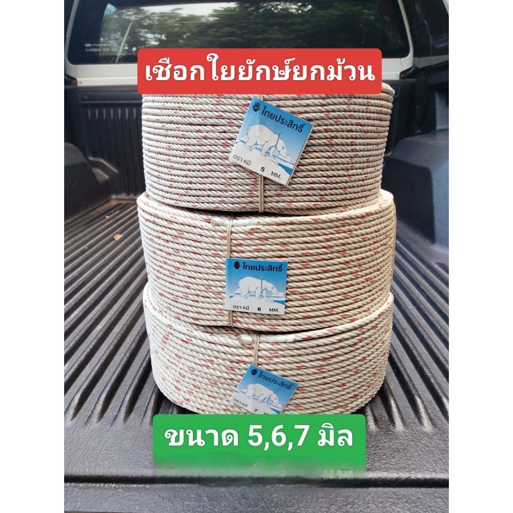 เชือกใยยักษ์ ตราไทยประสิทธิ์ เชือกจูงวัว เชือกโยงทุเรียน ขายยกม้วน 4-4.5 กิโล ( 5 มิล 3.3-3.7 กิโล)