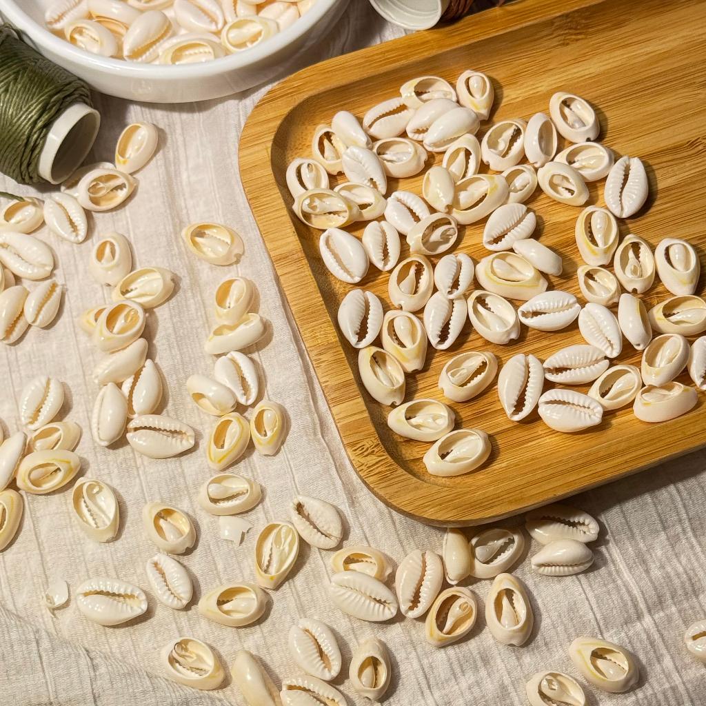 จี้หอยธรรมชาติ จี้หอยเบี้ย ขนาด 17 มิล ชิ้นละ 1 บาท diy