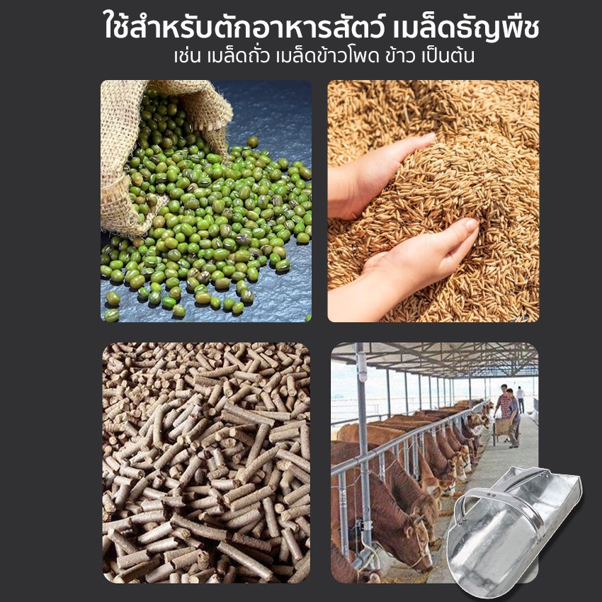 Marino Home ที่ตักอาหารสัตว์ ที่ตักเมล็ดธัญพืช No.KS224 ราคา ถูกที่สุด ดีลบีเคเค แกลเลอรีภาพที่ 2