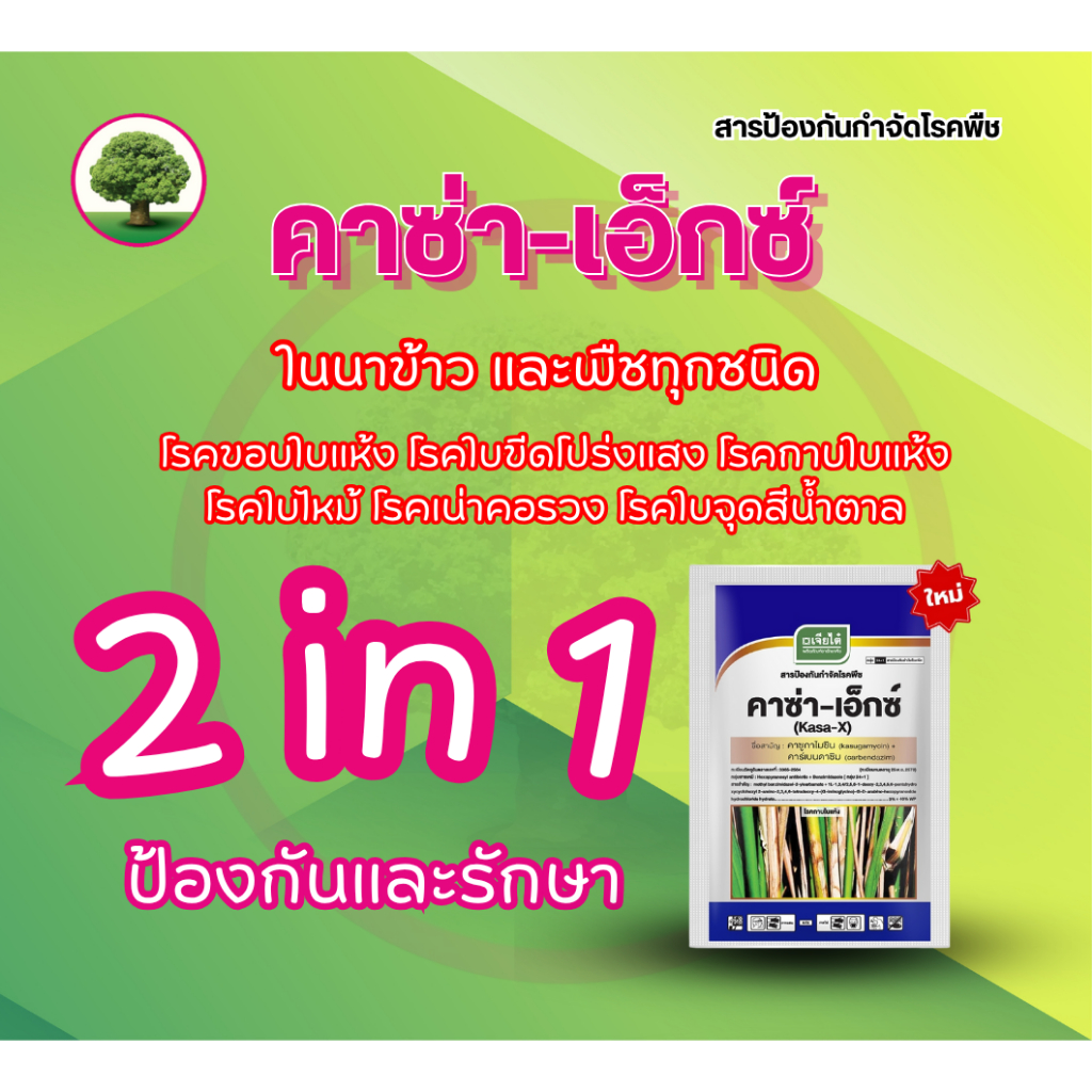 คาซ่า-เอ็กซ์ (เจียไต๋) สารป้องกันกำจัดโรคพืช ขนาด 100 กรัม