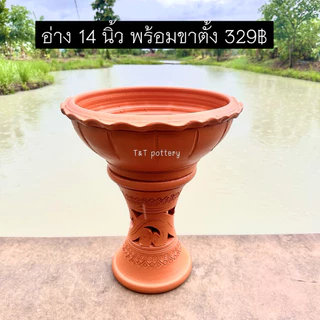 T329 <ชุดใหม่> อ่าง 14 นิ้ว พร้อมขาตั้ง อ่างเลี้ยงปลา ปลูกต้นไม้ (อ่างปากหยัก ทรงกระถาง)