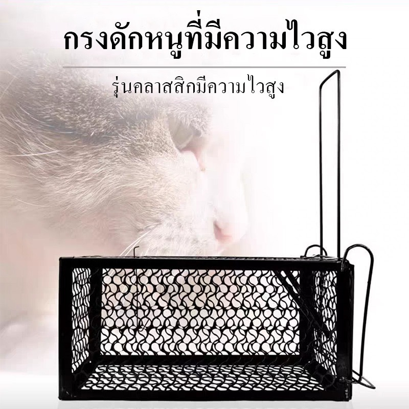 กรงดักหนูสปริง โครงหนา กรงดักหนู กรงดักหนูแบบมีโครง กรงดักหนูสปริงคู่ กรงดักหนูนา ขนาดเล็ก กลาง ใหญ่ 1ชิ้น สีดำ ขาว