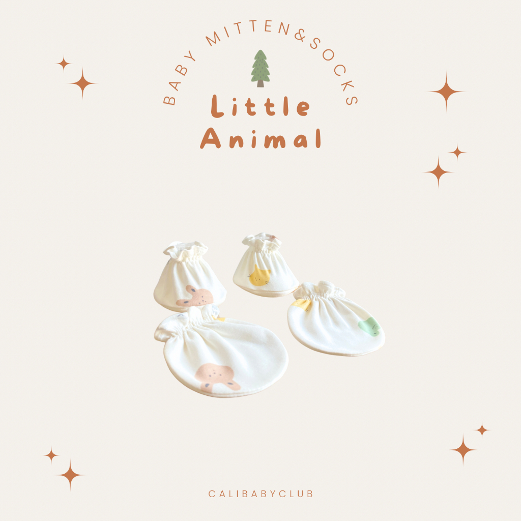 รูปภาพ 6