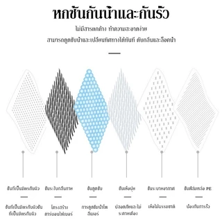 แผ่นรองฉี่สุนัข ชาร์โคล ซึมซับไดีดี ต่อต้านแบคทีเรีย แผ่นรองฉี่ แผ่นรองฉี่แมว แผ่นรองปัสสาวะหนา 6 ชั้น ช่วยฝึกขับถ่าย