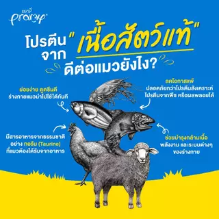 Pramy Carnivore อาหารเม็ดแมวพรามี่ คาร์นิวอร์ สูตรเน้นเนื้อแท้ ยกกระสอบ ขนาด5.6-7Kg.