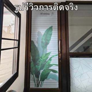 ฟิล์มฝ้าติดกระจก แบบสุญญากาศ รวมลายมีสี ติดง่าย กันคนมอง ลดแสง เพิ่มความเป็นส่วนตัว ฟิล์มติดกระจก สติกเกอร์ติดกระจก