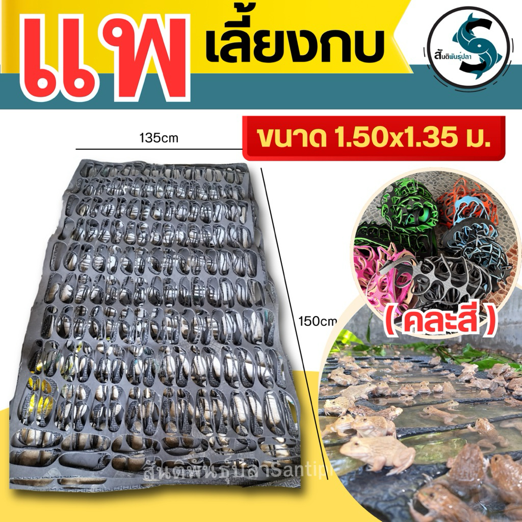 แพเลี้ยงกบ โฟมกบ แผ่นยางเลี้ยงกบ (ขนาด 150cmx135cm ) 1แผ่น