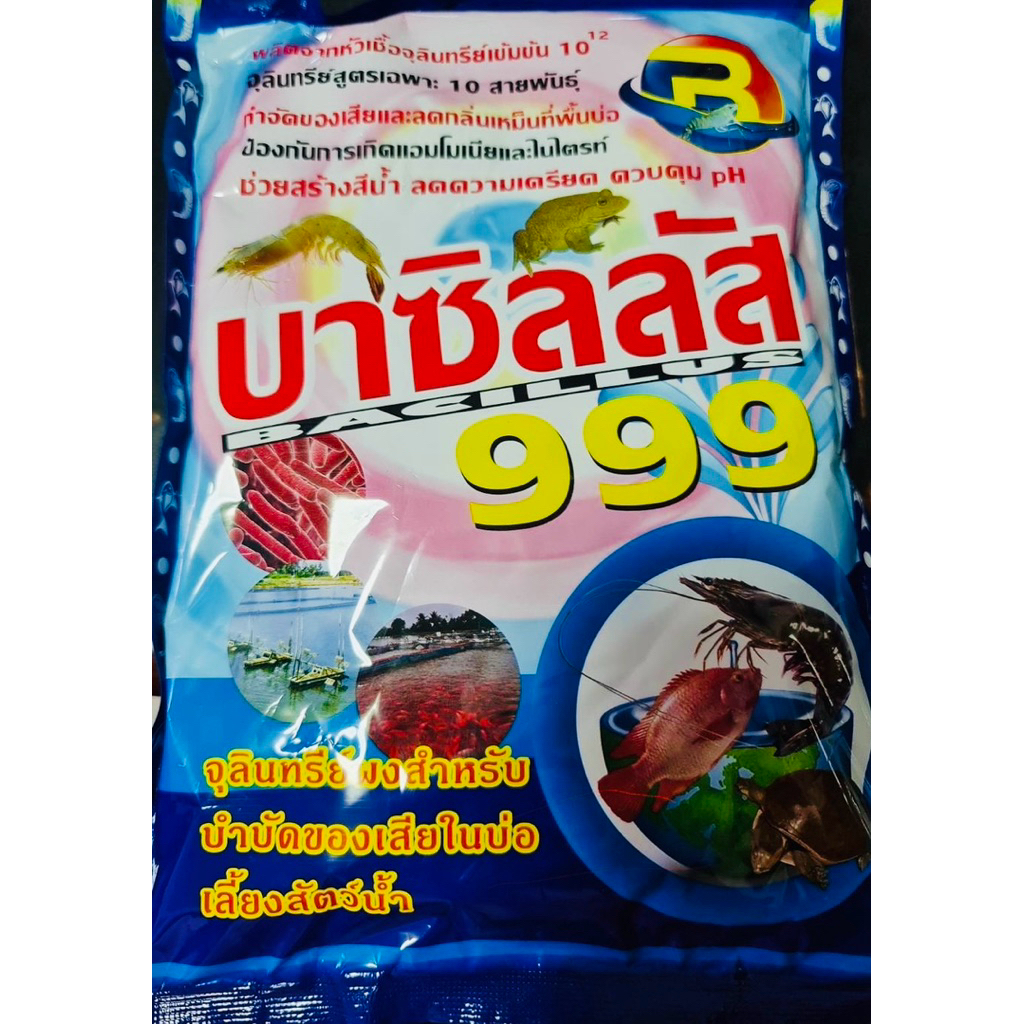 บาซิลลัส999 ขนาด 1 กิโลกรัม จุลินทรีย์ปรับสภาพน้ำ💧💧💧