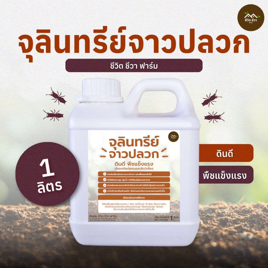 จุลินทรีย์จาวปลวก 1 ลิตร ใช้ย่อยสลายฟาง วัสดุปลูกที่ย่อยยาก เร่งราก บำรุงต้น ช่วยป้องกันโรคเชื้อรา