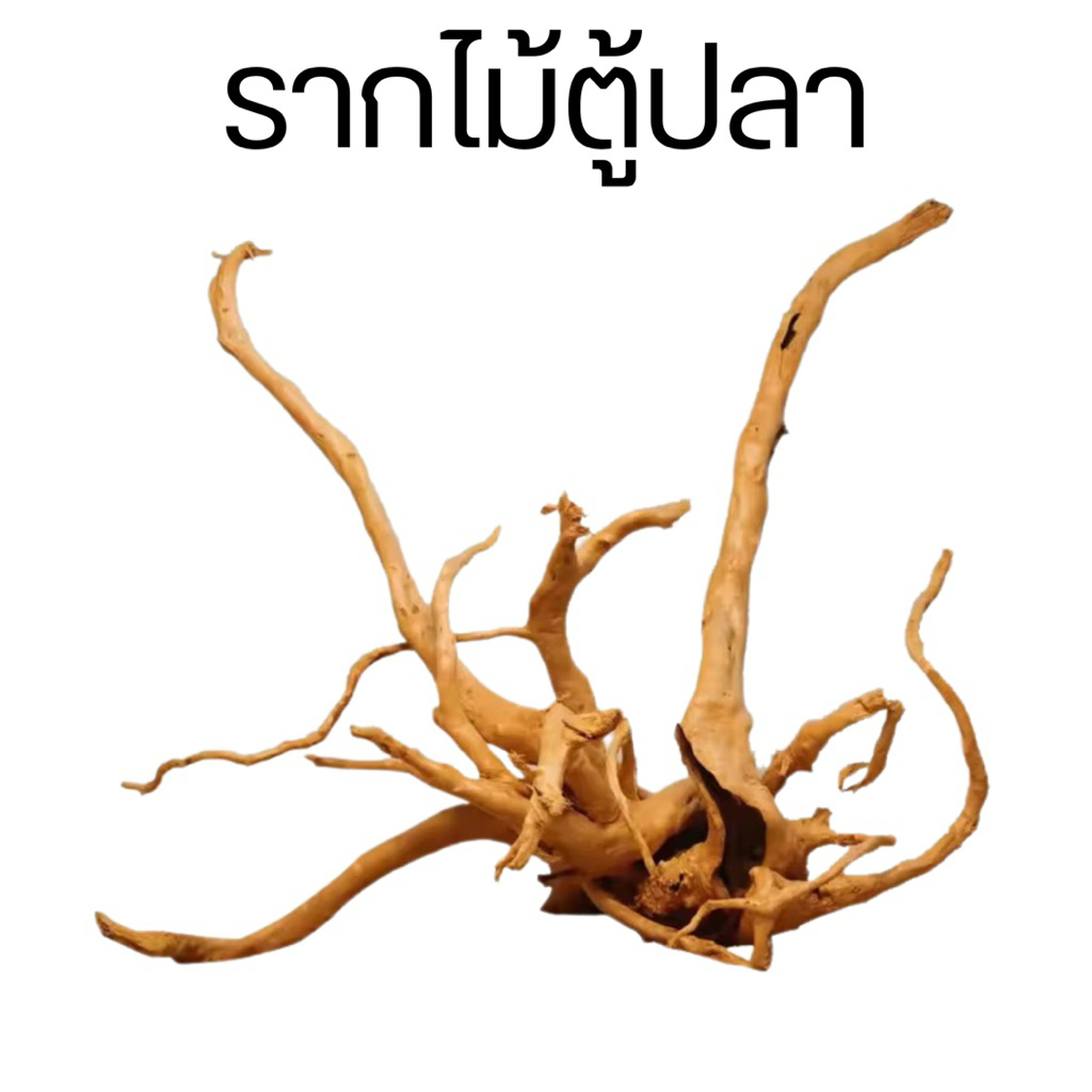 รากไม้ตู้ปลา ตอไม้ กิ่งไม้ รากไม้แต่งตู้ปลา เลย์เอาท์ตู้ปลา ของตกแต่งตู้ปลา ตู้ไม้น้ำ
