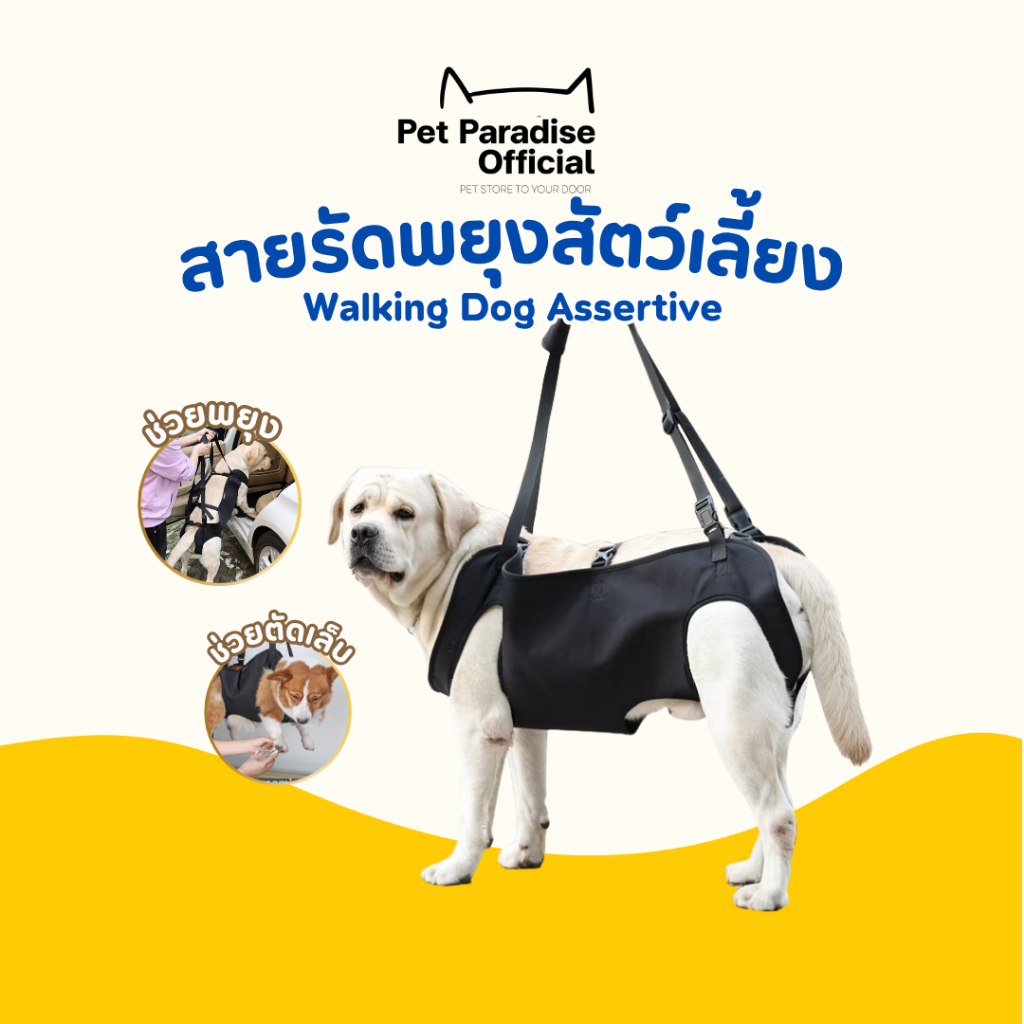 🌈PetParadise.th✨Doglemi ที่พยุงตัวสุนัข แบบช่วยยกทั้งตัว ฝึกกายภาพบำบัด ช่วยพยุงตัว ลดแรงกระแทกที่ข้อเข่า ข้อสะโพก