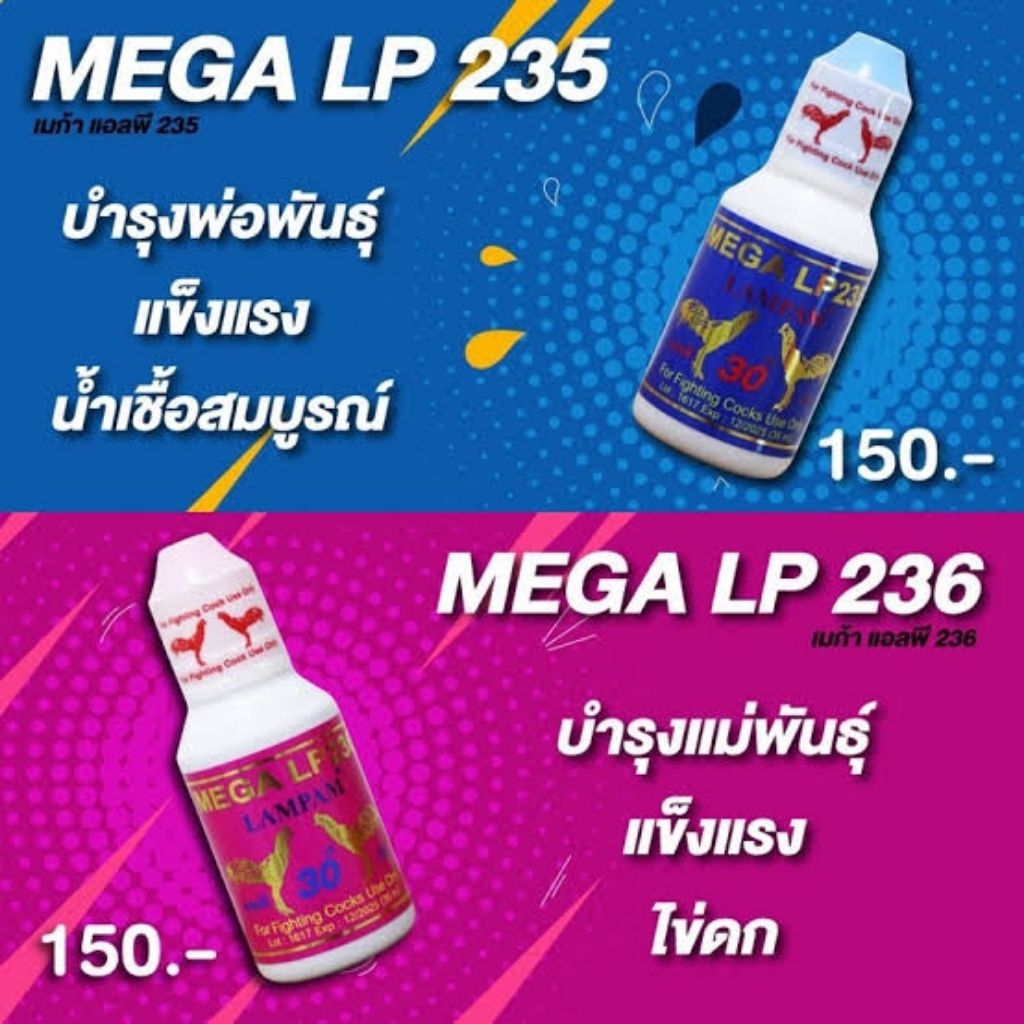LAMPAM ลำปำ ชุดพ่อแม่ LP235/LP236