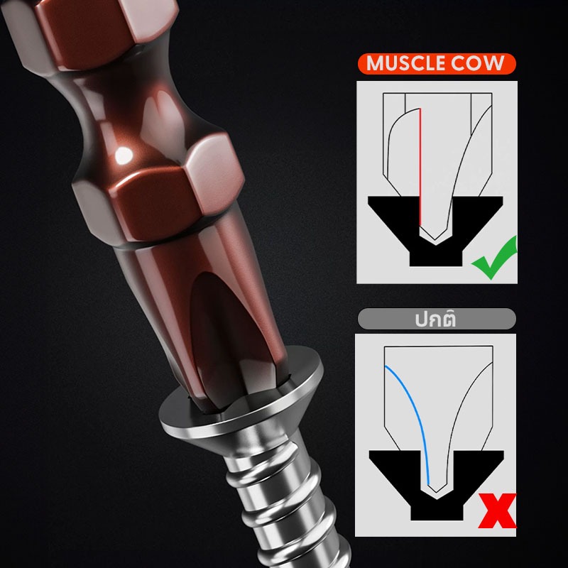 MUSCLE COW ไขควงปลายแม่เหล็ก 65 มิล ชนิดเหล็ก S2 แบบ PH2 หัวแฉกมีแม่เหล็ก ปลายสองด้าน ดอกไขควงแม่เหล็ก - รูปที่ 5