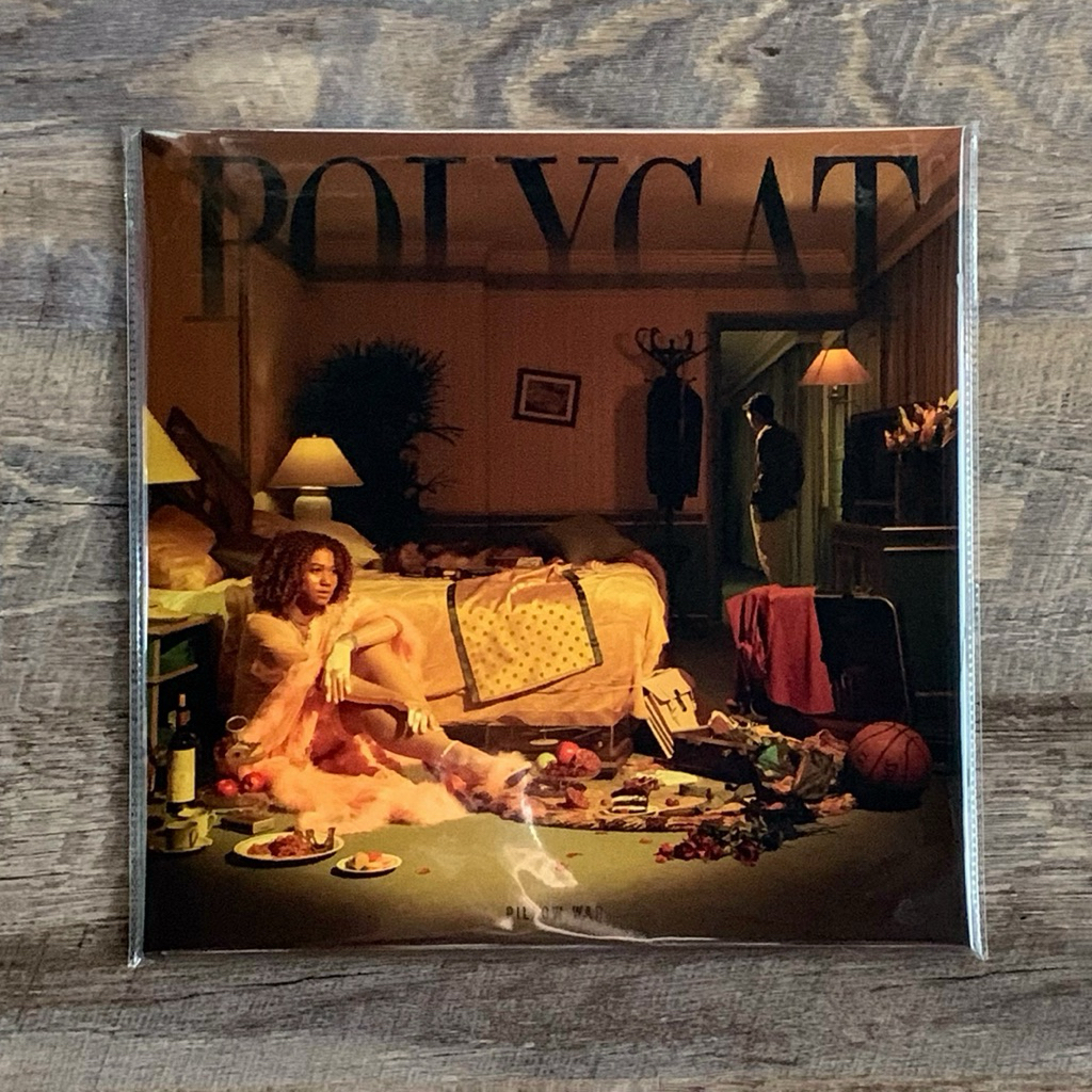 แผ่นเสียง Polycat vinyl lp โพลี่แคท มือ1(sealed)