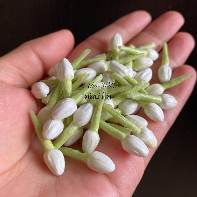 ดอกมะลิทิชชู่ ดอกพุดทิชชู่ 50/100 ดอก(กลิ่นหอม)