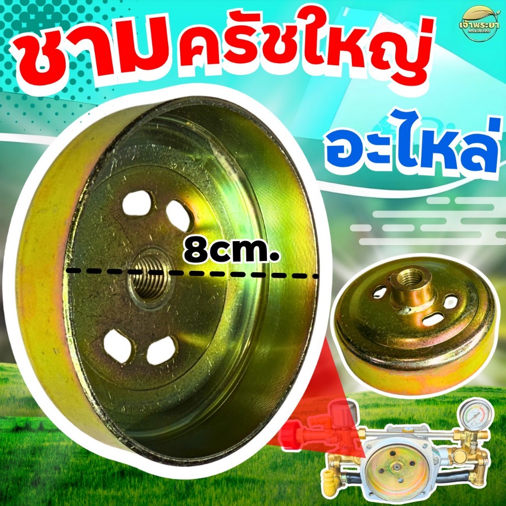 Thumbnail 6