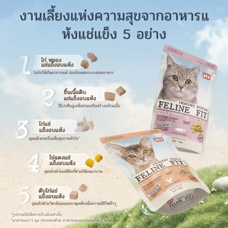 【🎁โปรไบโอติกส์ฟรี】VEV 🐈 แบ่งขาย 1 kg. Premium Cat Food Gluten Free