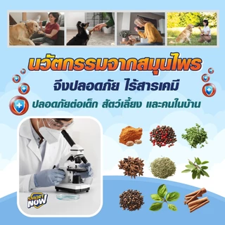 กำจัดลูกน้ำยุงลาย ตายใน6ชั่วโมง ไร้สารเคมี ใส่ในน้ำที่มีลูกน้ำยุงลาย แหล่งเพาะพันธุ์ยุงลาย ช่วยลดจำนวนยุง