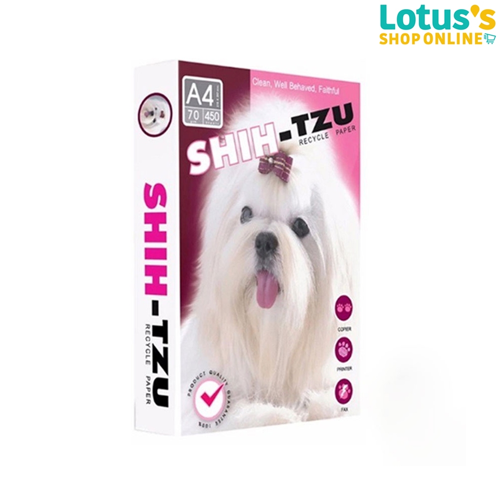 ชิซุ กระดาษ ถ่ายเอกสาร A4 70 แกรม 450 แผ่น SHIZU COPY PAPER A4 70 GRAM 450 SHEETS