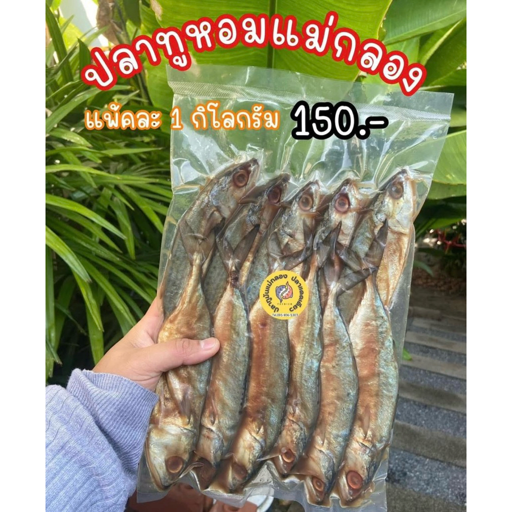 ปลาทูหอมเค็ม แพ็ค1 กิโล 10-12ตัว