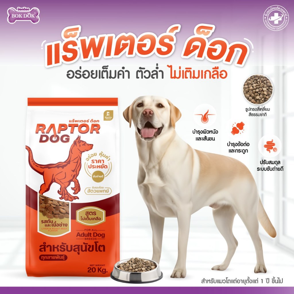 รูปภาพ 5