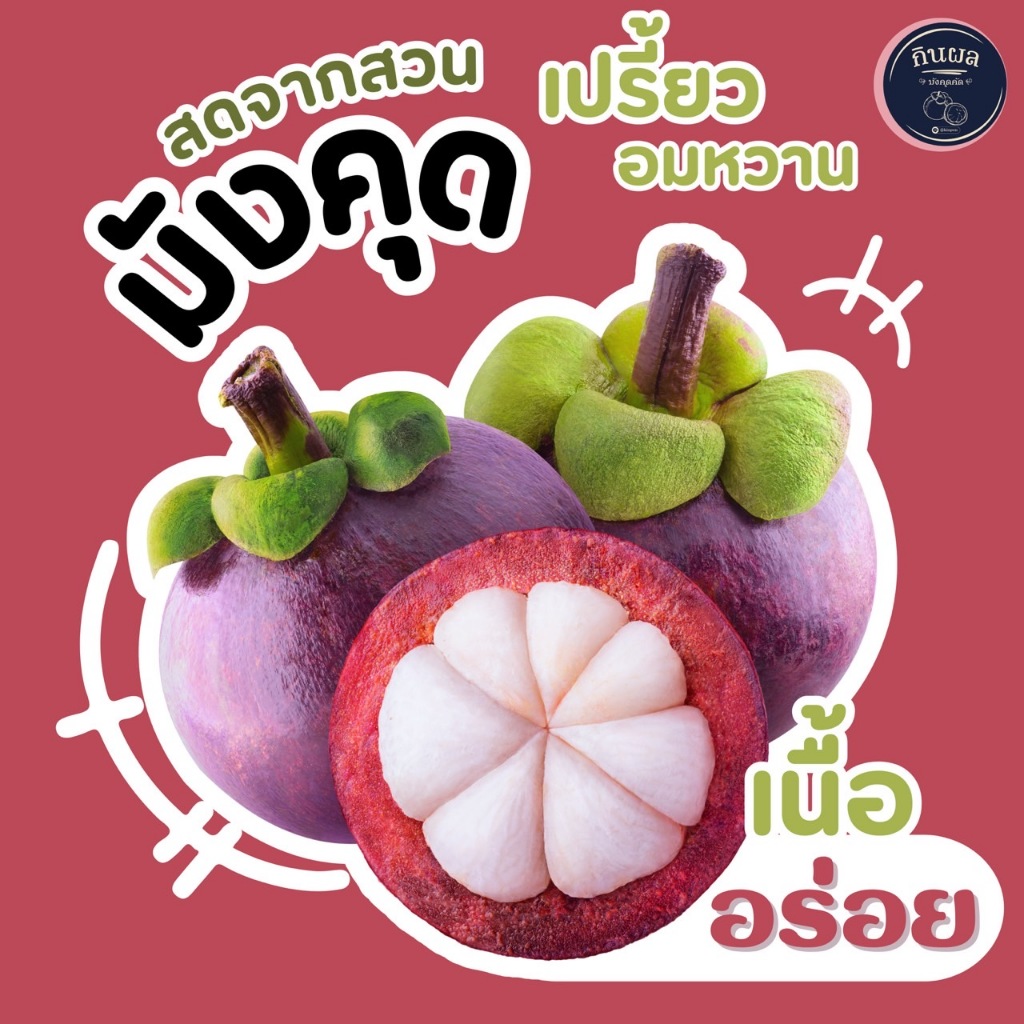 กินผล-มังคุดสุก สดจากสวนแท้ๆ