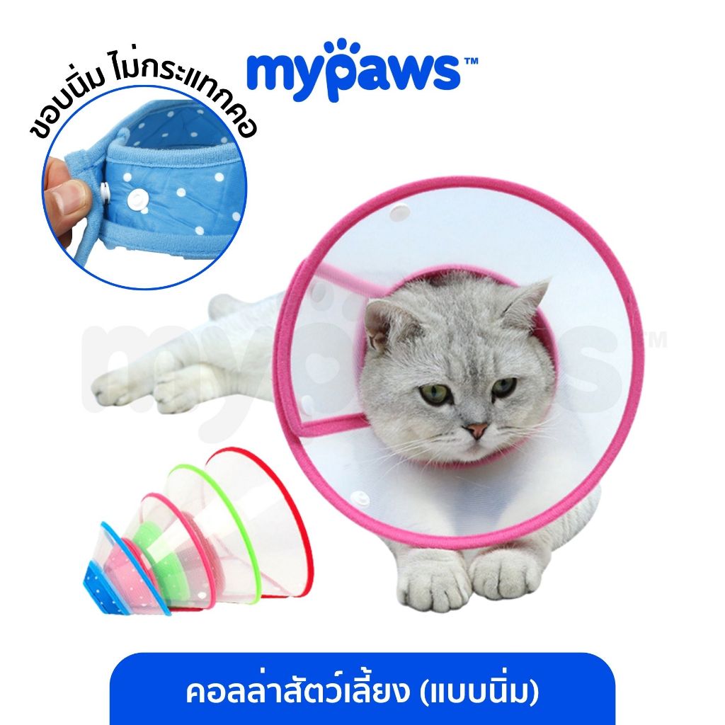 My Paws คอลล่าแมว ลำโพงหมา ลำโพงกันเลีย เหมาะสำหรับสัตว์เลี้ยงที่เพิ่งทำหมัน หรือผ่าตัด หรือมีแผล Collar
