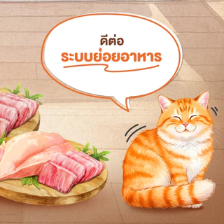 【7kg】Cat N Joy อาหารแมว กลิ่นหอมเย้ายวน รสชาติแสนอร่อย จากเครือเบทาโกร เน้นการดูดซึมที่ดี ทานง่าย