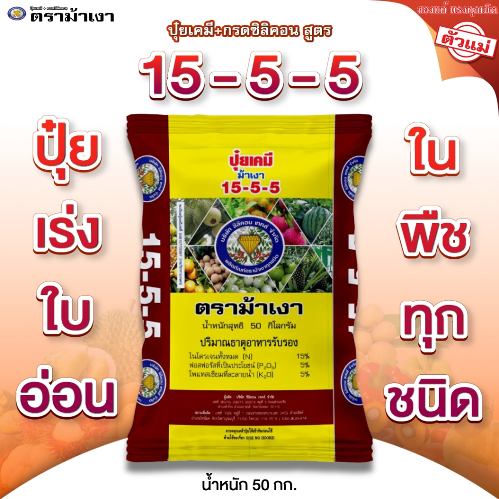 ปุ๋ยเคมี + กรดซิลิคอน สูตร 15-5-5 ตราม้าเงา [ 50 กก. ] เร่งใบอ่อน แตกใบอ่อนเร็ว ใช้ได้กับพืชทุกชนิด