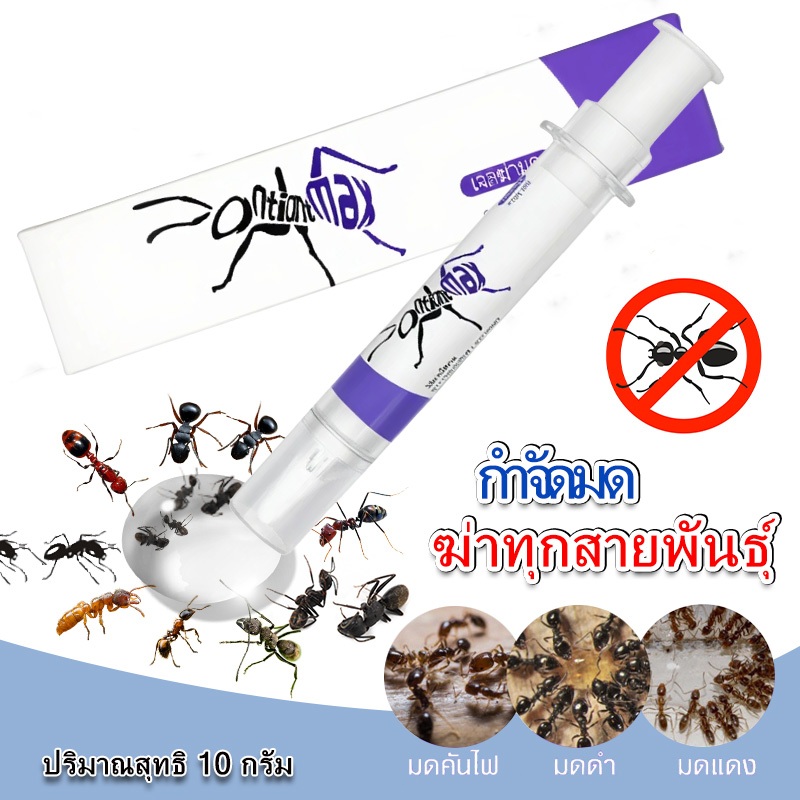 เจลกำจัดมด เหยื่อกำจัดมด เจลล่อมด หยดเดียวตายยกรัง 10ml น้ําหวานกําจัดมด เจล หยอด มด เจล มด antiant*max เจลฆ่ามด ยาฆ่ามด