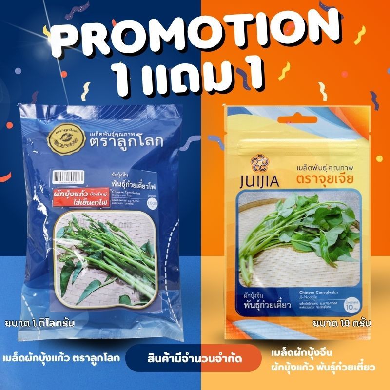 ผักบุ้งแก้ว ผักบุ้งเย็นตาโฟ ตราลูกโลก 1 kg ซื้อ 1 แถม 1 (ของแถม  ผักบุ้งแก้ว พันธุ์ก๋วยเตี๋ยว 10 กรัม 1ซอง)